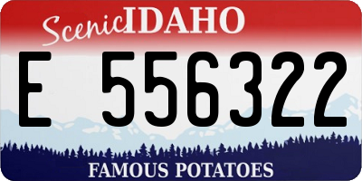 ID license plate E556322