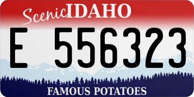ID license plate E556323