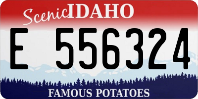 ID license plate E556324