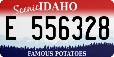 ID license plate E556328