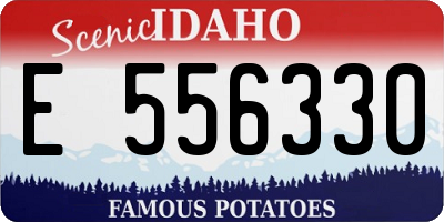 ID license plate E556330