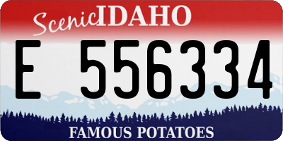 ID license plate E556334