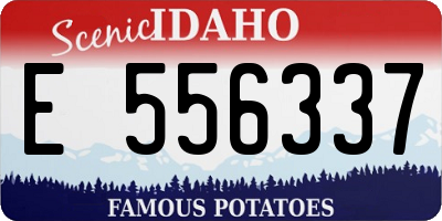 ID license plate E556337