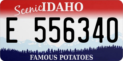ID license plate E556340