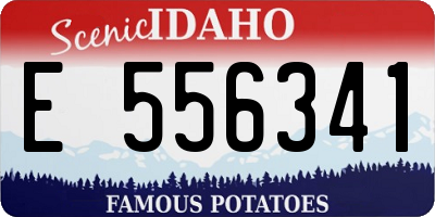 ID license plate E556341