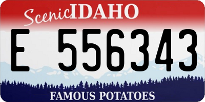 ID license plate E556343