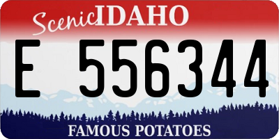 ID license plate E556344