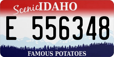 ID license plate E556348