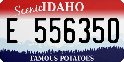 ID license plate E556350