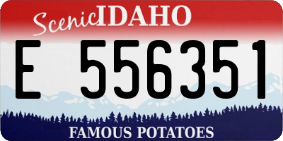 ID license plate E556351