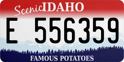 ID license plate E556359
