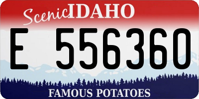 ID license plate E556360