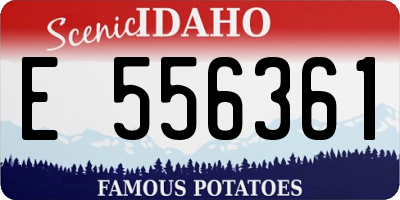 ID license plate E556361