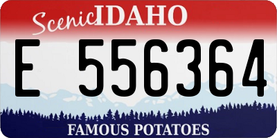 ID license plate E556364