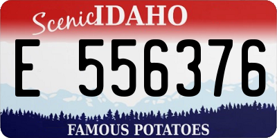 ID license plate E556376