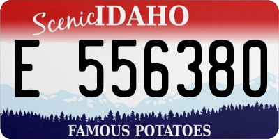 ID license plate E556380
