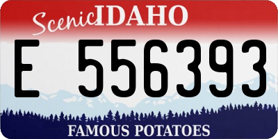 ID license plate E556393