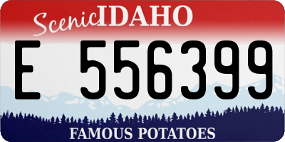 ID license plate E556399