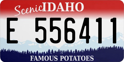 ID license plate E556411