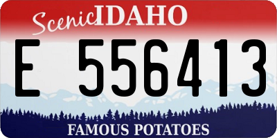 ID license plate E556413