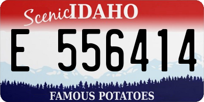 ID license plate E556414