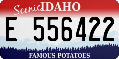 ID license plate E556422