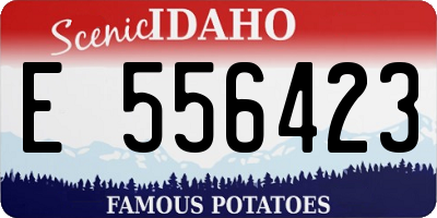 ID license plate E556423