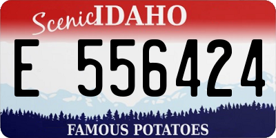 ID license plate E556424