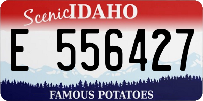 ID license plate E556427