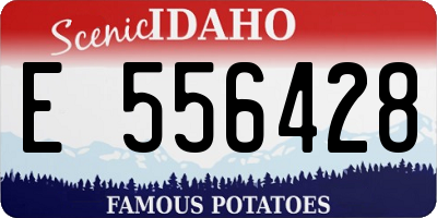 ID license plate E556428