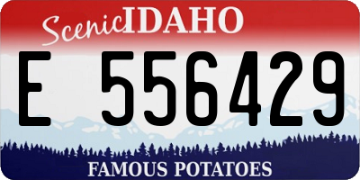 ID license plate E556429