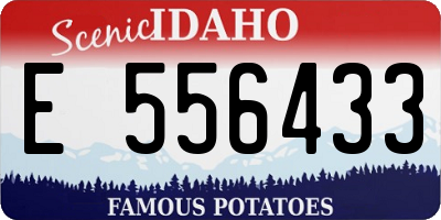 ID license plate E556433