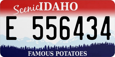 ID license plate E556434