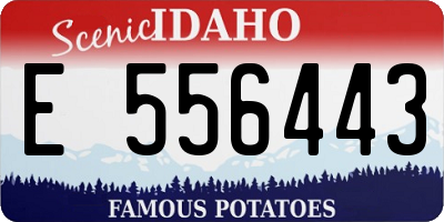 ID license plate E556443