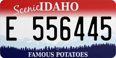 ID license plate E556445
