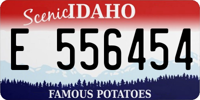ID license plate E556454