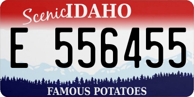 ID license plate E556455