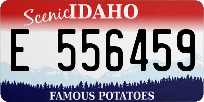 ID license plate E556459