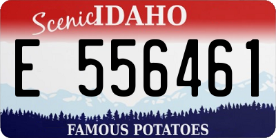 ID license plate E556461