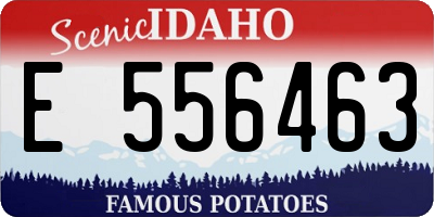 ID license plate E556463