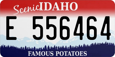 ID license plate E556464