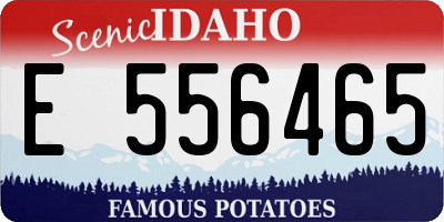 ID license plate E556465