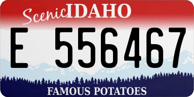 ID license plate E556467