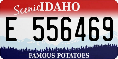 ID license plate E556469