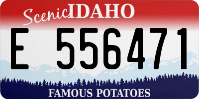 ID license plate E556471