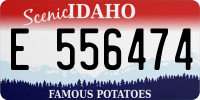 ID license plate E556474