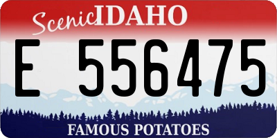 ID license plate E556475