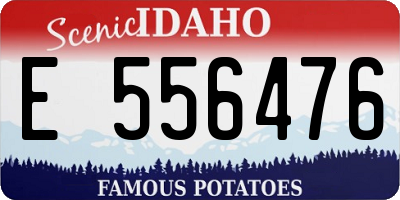 ID license plate E556476