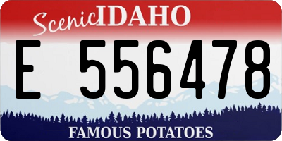 ID license plate E556478