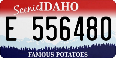 ID license plate E556480